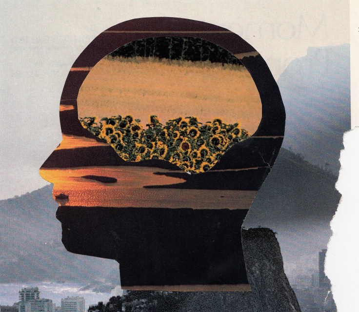 Wild things cannot grow in straight lines. 